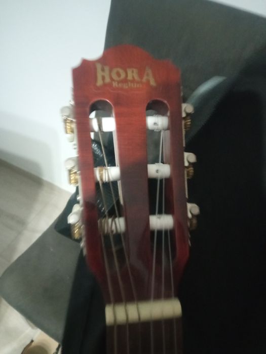 Chitara Hora student N de la Reghin