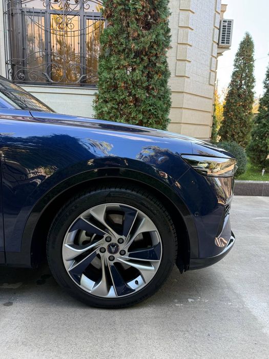 24.250.S. VOYAH Free.