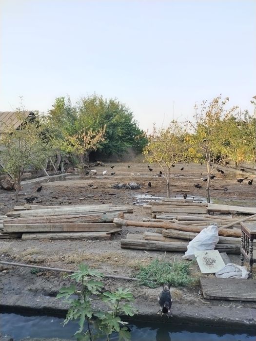 Маргилон шахар надирмат махласида ер сотилади