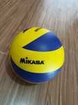 Волейбольный мяч Mikasa MVA200 Nikaka