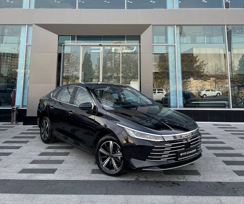 BYD Chazor Luxe 55km