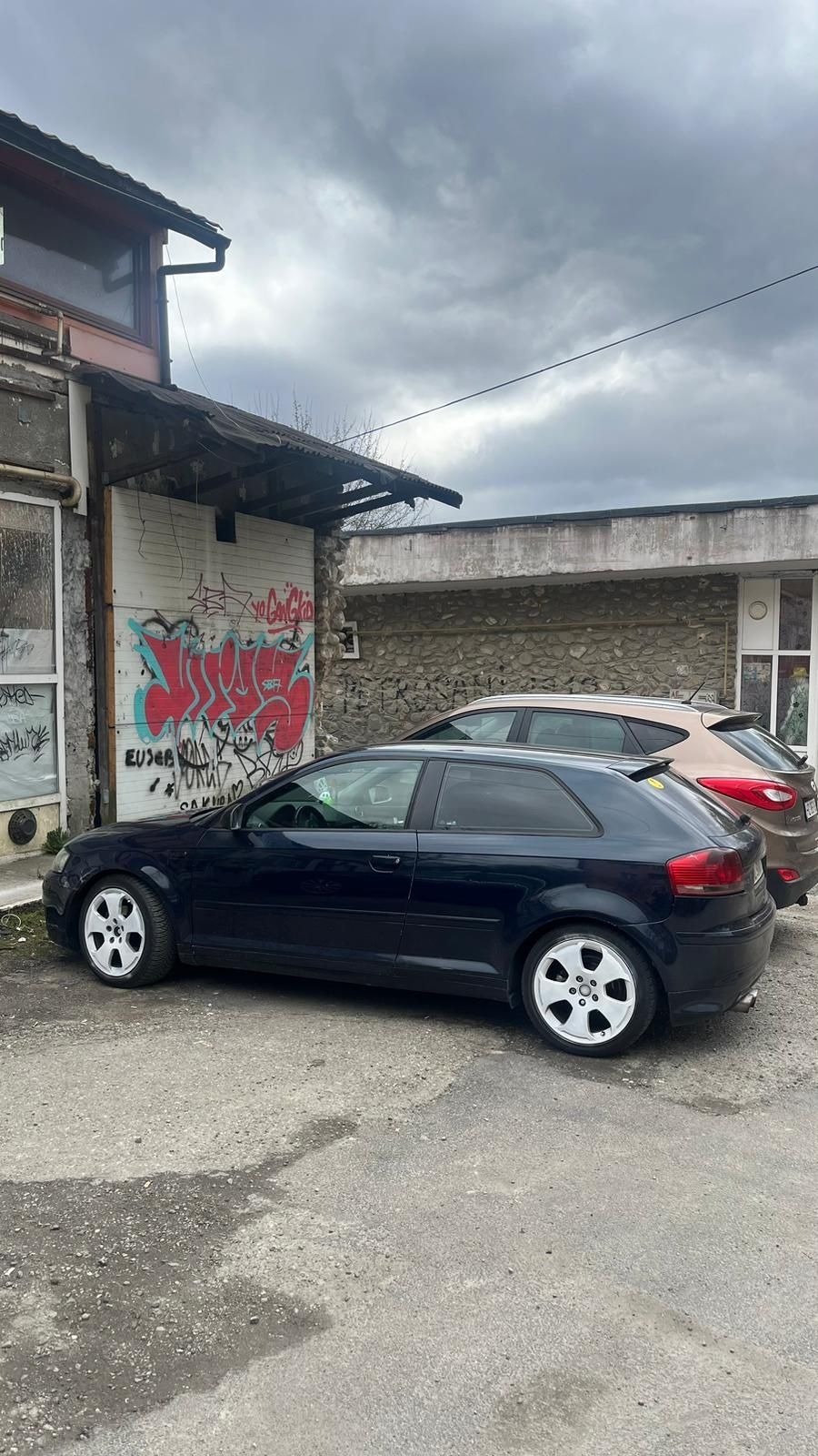 Audi A3 8P 1.9 TDI