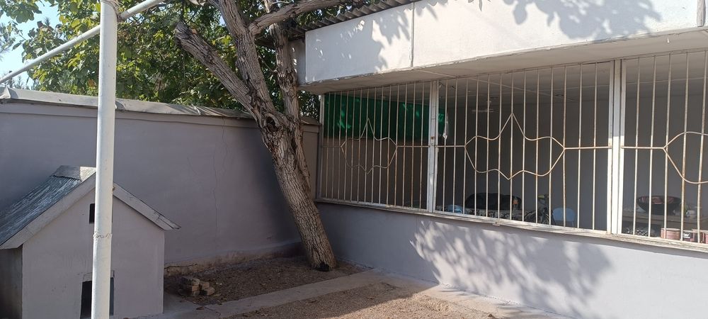 Продается дача в паркенте 10сот