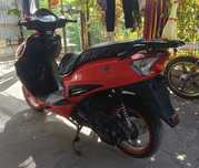 Peda Carbon 2020