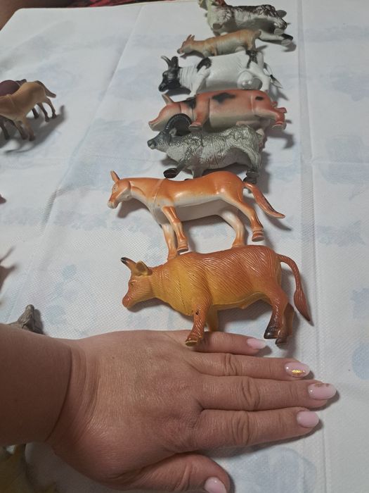 Seturi animale domestice ,sălbatice ,insecte ,etc