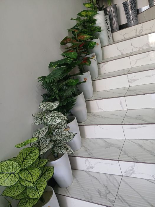 Суний гуллар. Искусственные цветы и деревья. 100.000