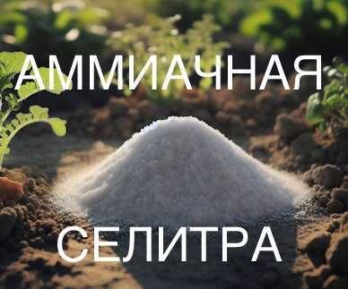 аммиачная селитра