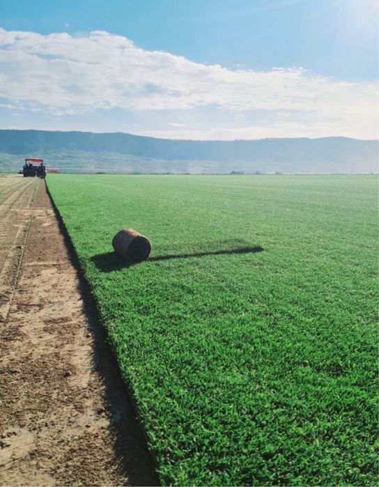 Gazon rulou premium oriunde in tara