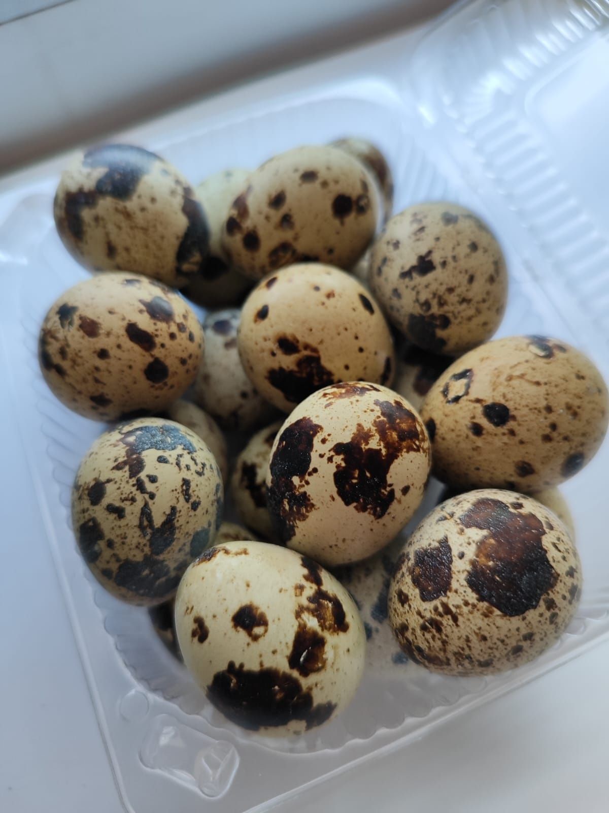 Перепилиные яйцо домашние