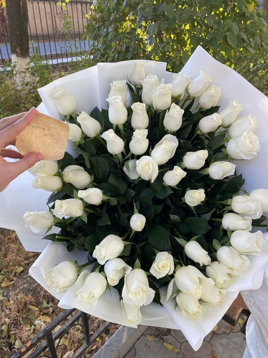 51 штук роза свежий