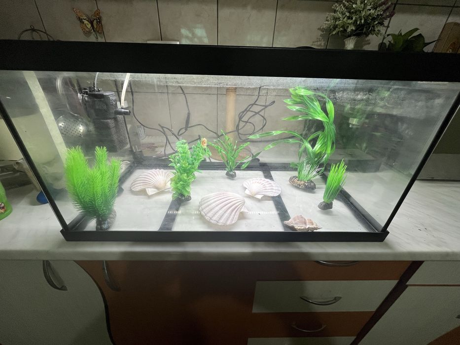 Acvariu 60 litri