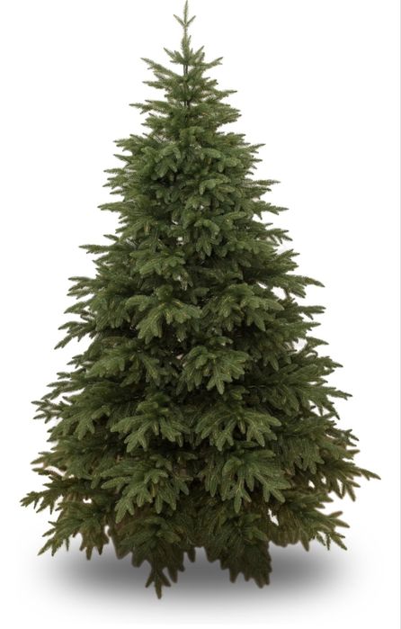 Новогодняя елка на любую семью