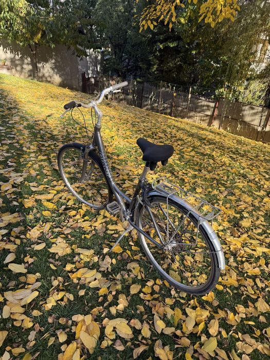 Ретро giant размер L