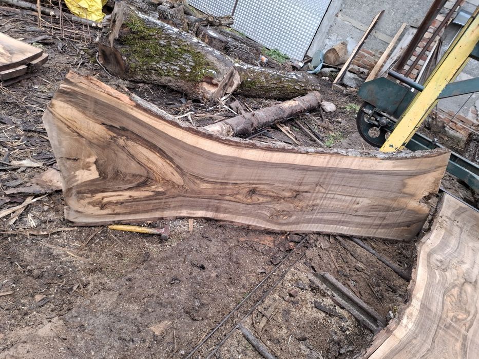 Scandura /foastana de nuc uscata