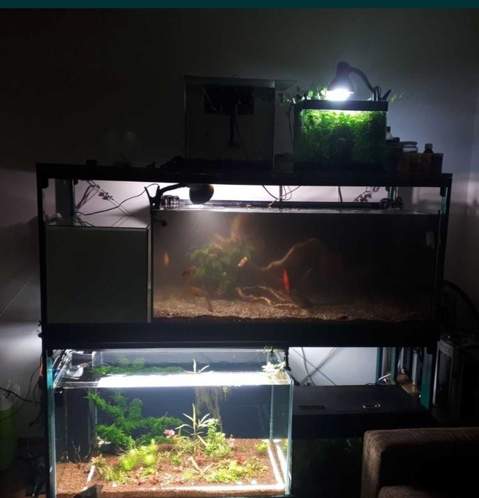 Rastel/ suport acvarii