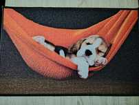 Covoraș stil: Puppy Paradise