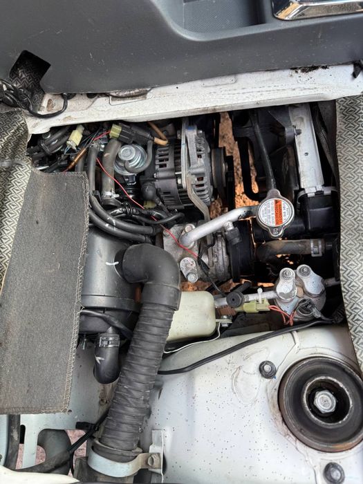 Damas | Дамас 2021