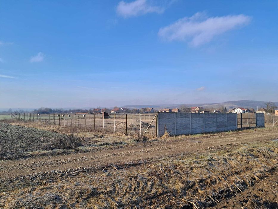 Vand teren in localitatea Livada,CJ, cu proiect casa!
