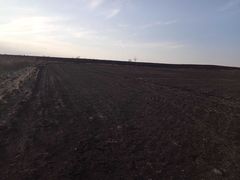 Продава се Земеделски имот в Бургас, Славейков -  кв.м за 3125 €/дка - Снимка #3