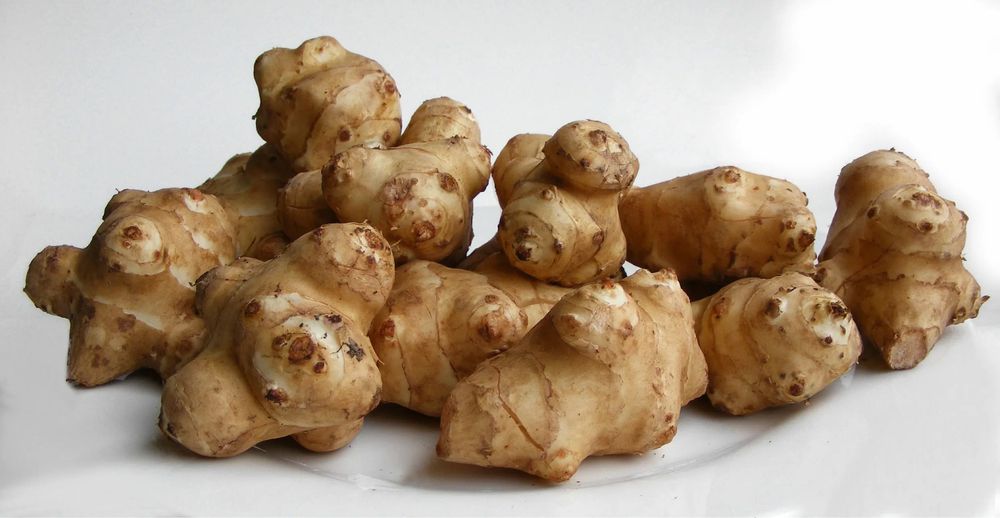 Топинамбур свежий урожай 2025 года