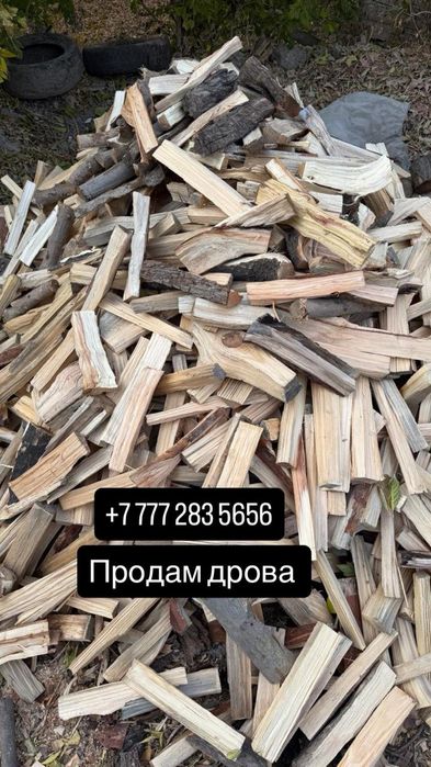 Дрова сухие колотые