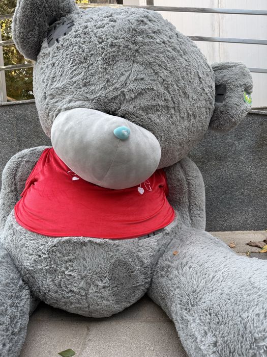 Ayiq | мишка | игрушка