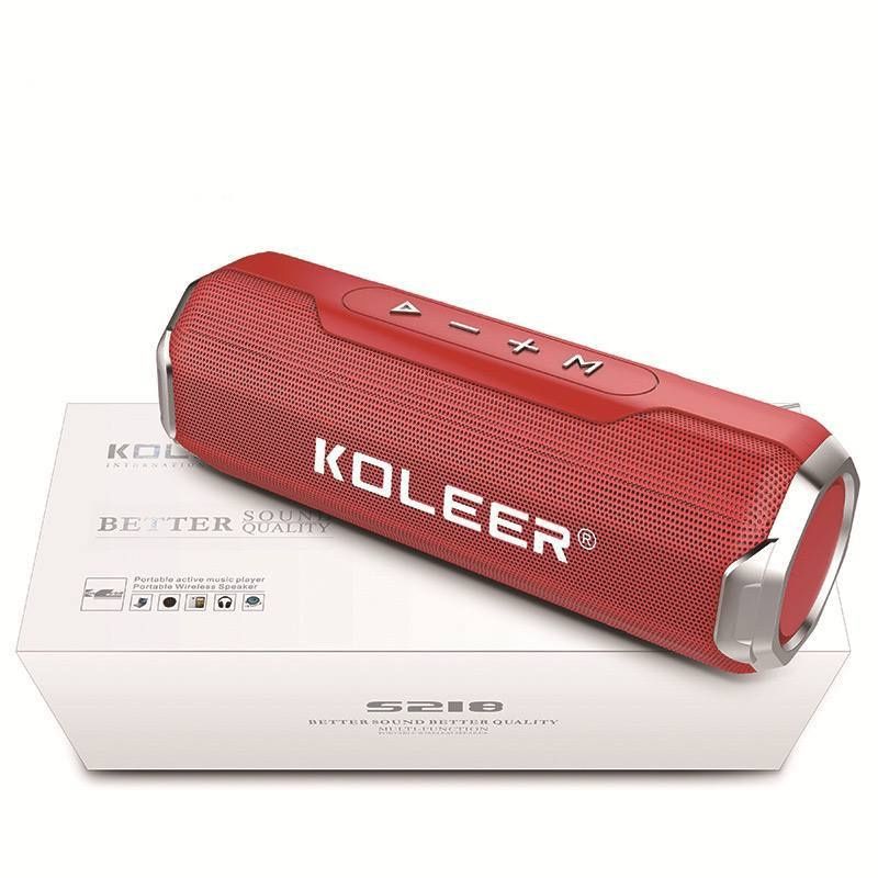 Колонка koleer S218