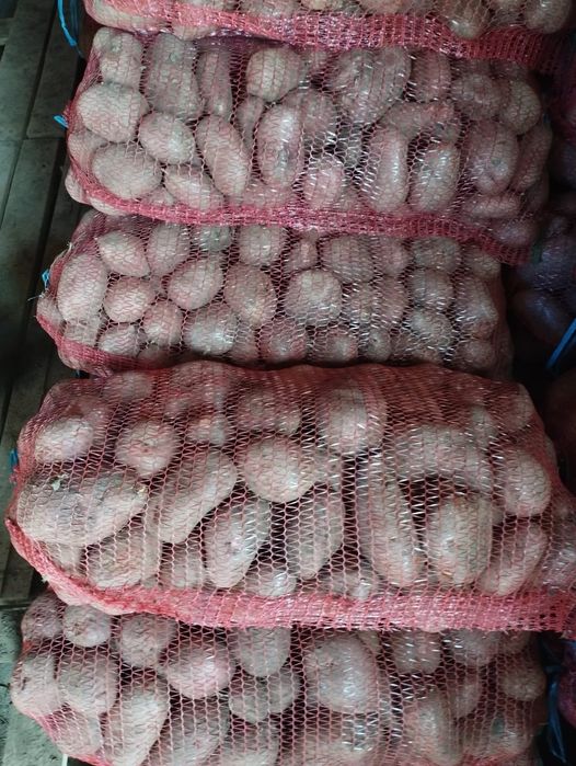 Cartofi consum roșu și alb