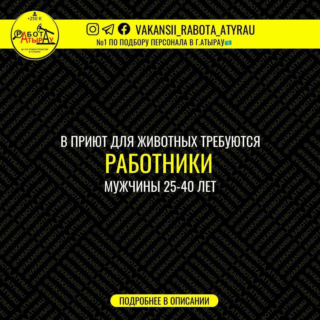 Для мытья посуды в посудомоечной машине