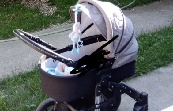 Carucior 3 in 1 + genata + huse de iarna