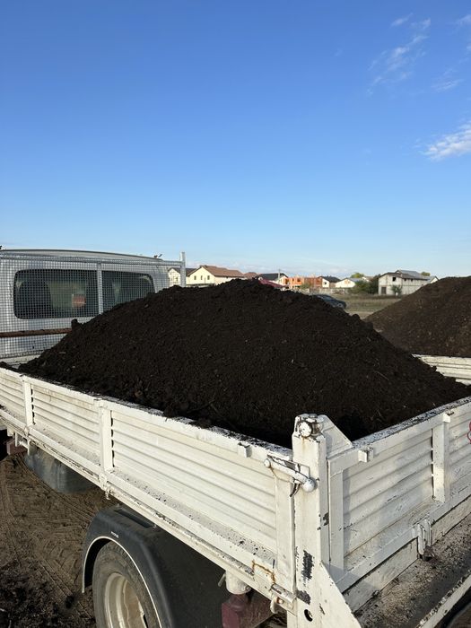 Mranita balegar pentru solarii gradina