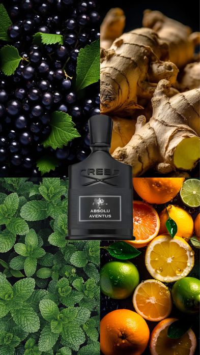 Creed Aventus Absolu