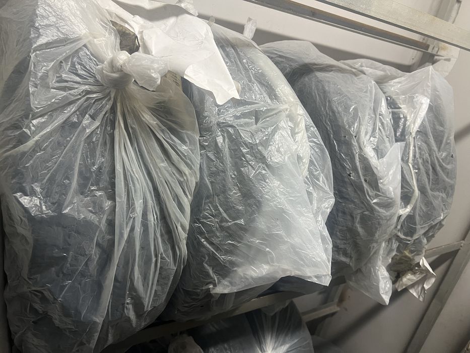 Зимние шины Triangle 215/55 R17