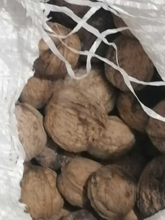 Орехи реколта 2025 г.