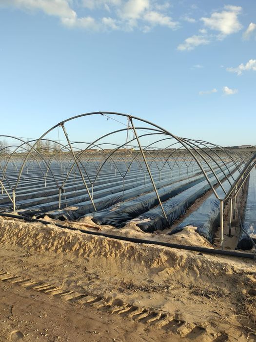 Vand arcade solar din teava galvanizata