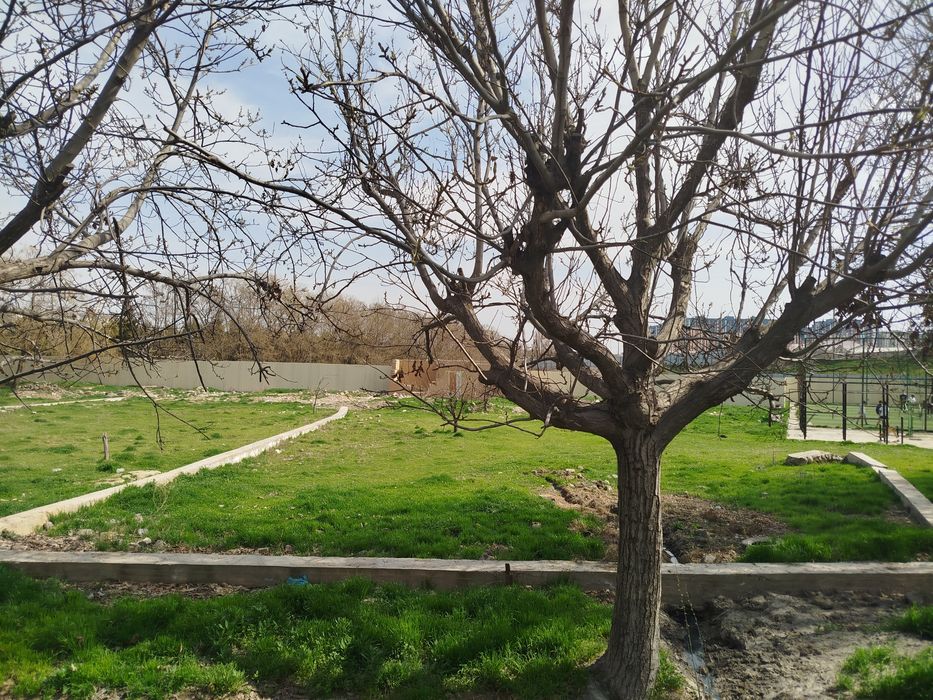 СРОЧНО!!! Участок  2+2 сот. Янгихает тумани (кадастр)