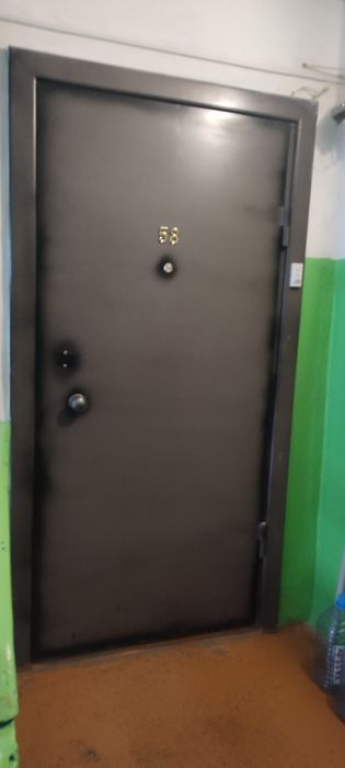 Входная дверь железная