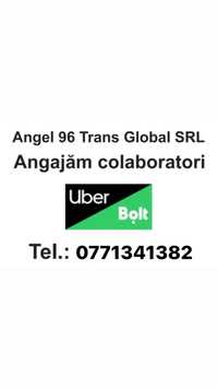Colaboratori Angel 96 Trans Global, scoala de conducatori auto