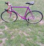 Cursiera Single Speed