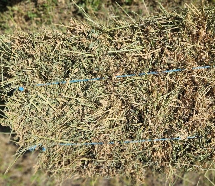 Baloți dreptunghiulari de vânzare ! Preț 20 lei .