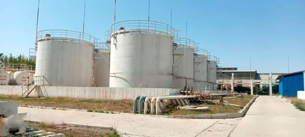 Объект с высоким потенциалом звоните обсудим