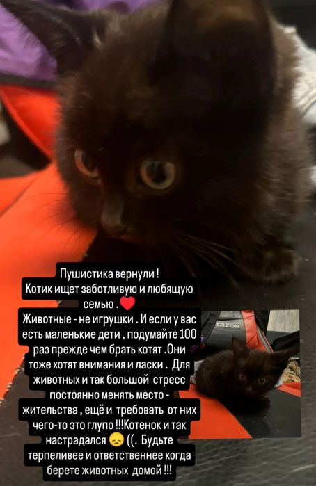 Отдадим малыша .