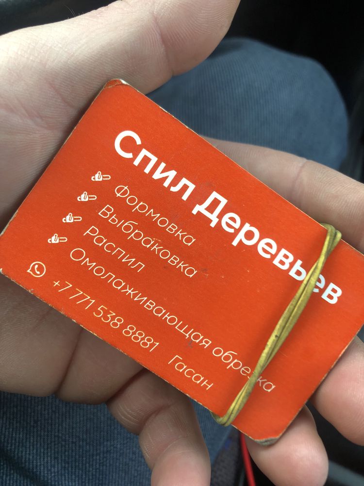 Спил деревьев