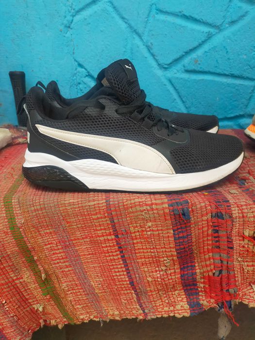 ” Adidasi  SH”  NR. 42 diverse modele cei maro sant 43. noi