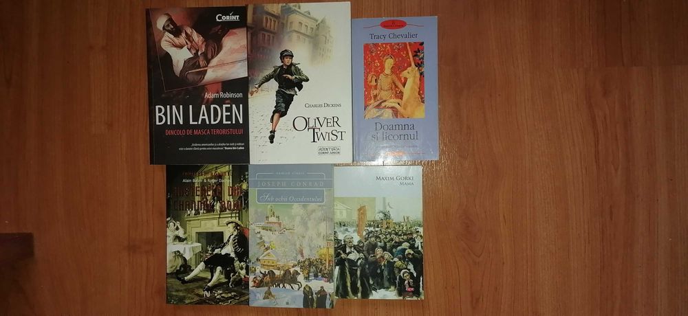 Beletristica/Literatura