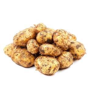 Картофель домашний