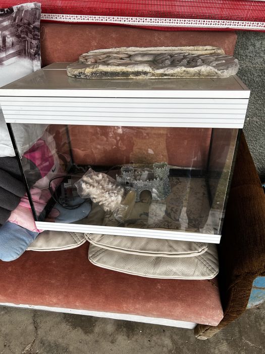 Acvariu pesti/broaste testoase