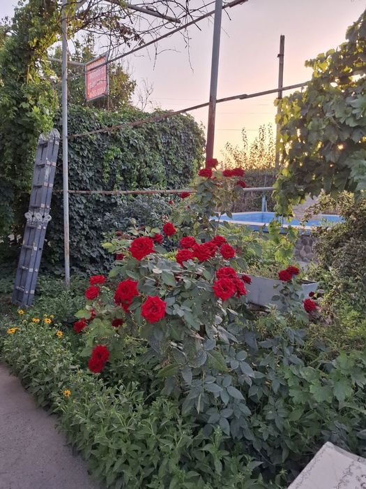 Продаётся участок 12 соток срочно без маклеров