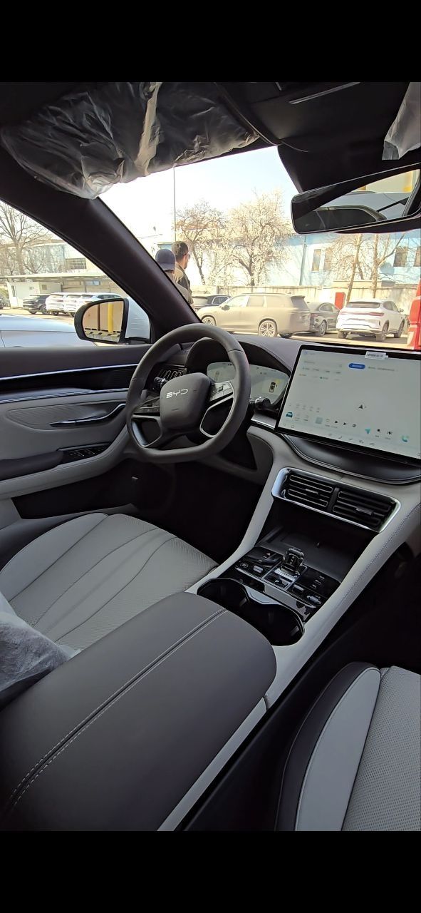 Byd chempion 2025yil smart driving