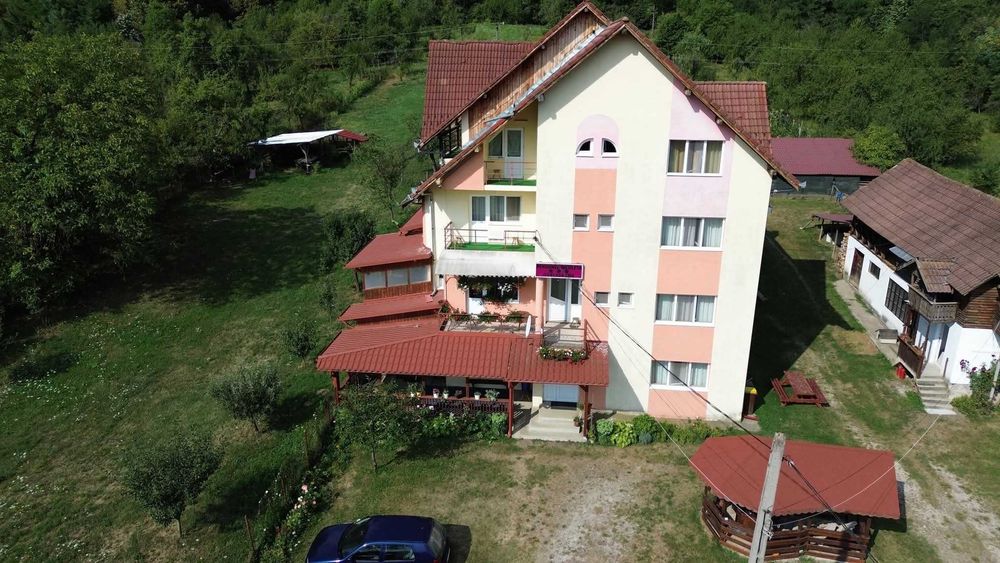 Cazare Pensiunea Nicoleta Costești Vâlcea disponibilă de Revelion 2026